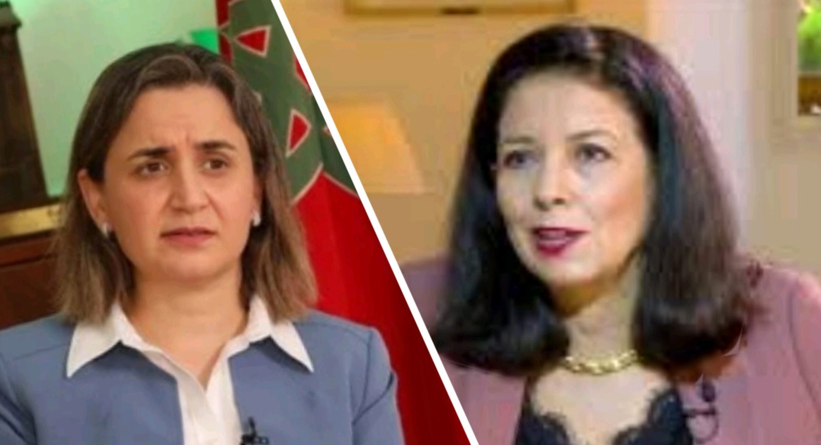 غيثة مزور خارج وزارة الإنتقال الرقمي و تعثر مشارع الرقمنة من بين الأسباب