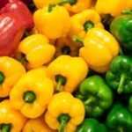 ميداوي يكشف خارطة طريق 2025 و التركيز على التخصصات الرقمية ضمن الاولويات