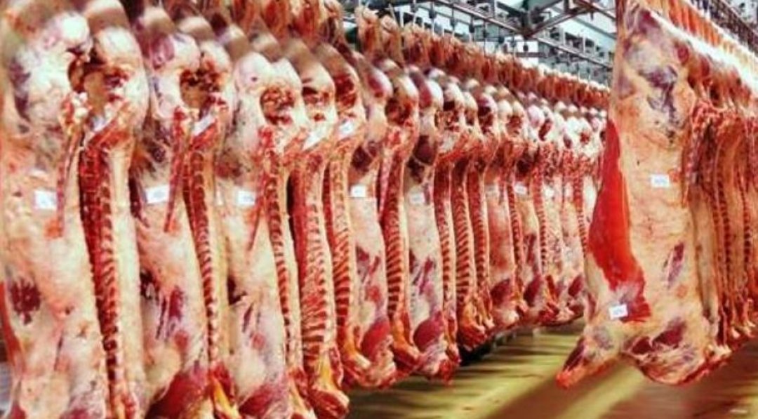 هل تساهم الجودة و الاثمان المناسبة في الاقبال على اللحوم المستوردة