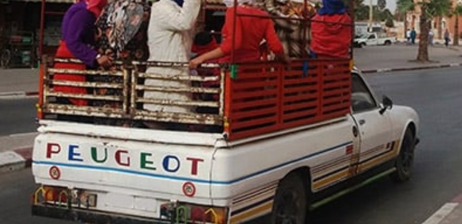 بعد رفع الأجر الى 120 درهم بوادر عودة عمال الضيعات الفلاحية الى عملهم