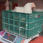 الاختطاف و الابتزاز يجر 3 عناصر من القوات العمومية و شخص اخر الى الاعتقال ببوعرفة