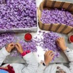 مسؤولون ليبيون مستاؤون من تهديد السيادة الليبية و سرقة أراضٍها من طرف الجزائر