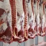 المغاربة غاضبون من استمرار ارتفاع اسعار الطماطم الى 12 درهم