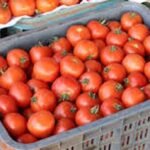 التهراوي يعلن عن  إلغاء نظام التأمين الإجباري الأساسي عن المرض الخاص بالطلبة