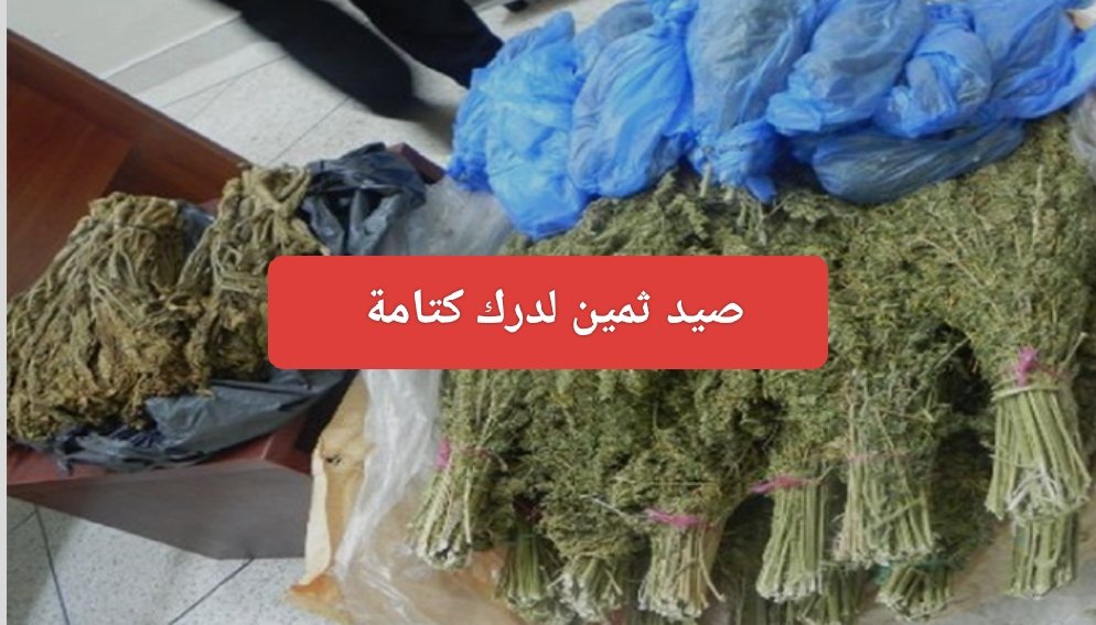 درك كتامة يحجز حوالي 3 اطنان من القنب الهندي و يعتقل مزود و مروج