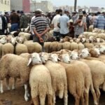 النقابة المستقلة لأطباء القطاع العام تعلن عن خوض إضراب لثلاثة أيام