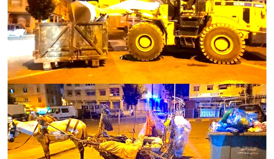 حملة موسعة لمحاربة ظاهرة العربات المجرورة بالحيوانات.