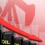 تحت شعار فعالية قضائية تعزز الثقة والمصداقية محكمة الاستئناف باكادير تنظم الابواب المفتوحة