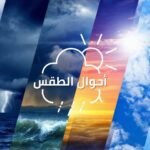 محكمة النقض:  استخدام تطبيق “واتساب” يُعد وسيلة لإبلاغ صاحب العمل بحالة غياب بسبب المرض