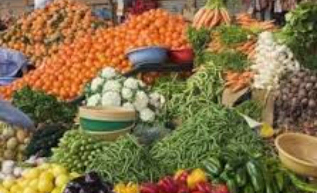 ناقوس الخطر يدق داخل المجلس الاقتصادي والاجتماعي والبيئي