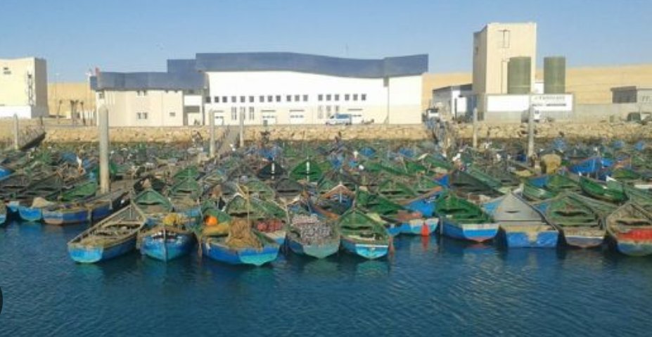 منع قوارب الصيد التقليدي من الابحار بسواحل بوجدور