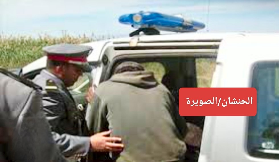 درك الحنشان بإقليم الصويرة ينهي فرار اسكوبار الكريمات