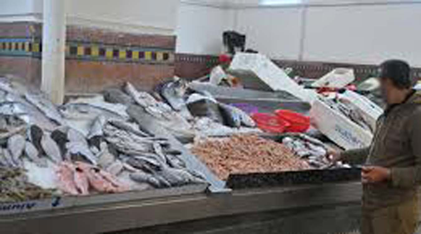 البواري يفسر أسباب ارتفاع الأسعار في الأسواق و يشيد بـ”الحوت بثمن معقول”