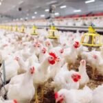 تنصيب نائب وكيل الملك و قاضي بالمحكمة الابتدائية بيوكرى