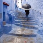 هذه حقيقة حجز شاحنة محملة بالشباكية كانت في إتجاه سجن مول البرگي