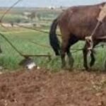 توقعات المديرية العامة للارصاد الجوية لطقس اليوم السبت