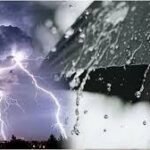 بسبب الشناقة أسعار الخضروات مرتفعة في الأسبوع الثاني من شهر رمضان