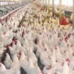 الشركات الفرنسية تدخل على الخط، الإستفادة من اليد العاملة المغربية المجربة والرخيصة.