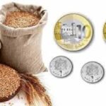 المغرب ينجح في إجراء اختبارات ميدانية على نظام الصواريخ PULS