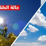 حجز طنين من السمك المجمد الغير صالح للاستهلاك باكادير