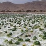 السلطات القضائية والأمنية تشدد الخناق على تعديل الخصائص التقنية للدراجات النارية