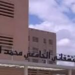 تعليمات تمنع بيع لحوم الغنم بالمتاجر الكبرى