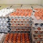 شركة TLScontact، المتخصصة في معالجة طلبات التأشيرة تفتح اول مركز لها بالعيون