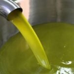 تاجيل مهرجان تيميتار و نائب رئيس جماعة أكادير يوضح