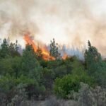 عمر حجيرة :الدفع الإلكتروني لم يعد مجرد بديل عصري