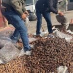 النيابة العامة تامر باعتقال صاحب السيارة الذي صدم الطفلة غيثة على الشاطئ