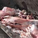 سيارات بالجملة تتجاوز اشارة منع المرور الى رمال شاطئ الديابات بالصويرة