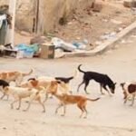 درك الحنشان بالصويرة ينهي نشاط معمل سري لانتاج مسكر ماء الحياة