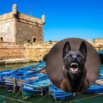 رحلة إيكولوجية بالصويرة لتعزيز السياحة البيئية والوعي بالمناطق الرطبة