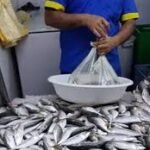 8 اشهر سجنا نافذا في حق صاحب ”فيديو جماجم الحمير بواد أمليل”