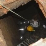 الداخلية تشدد على ضرورة تحقيق التقارب بين السياسات العمومية واحتياجات المواطنات والمواطنين