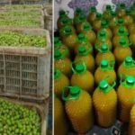 المنتخب المغربي يفتتح مونديال U20 بالفوز على إسبانيا 2-0