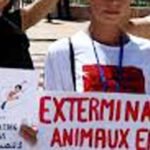 سلطات المحمدية و قوات الدرك الملكي تشن حملة اقتحام على ادغال عصابات الأفارقة بعين حرودة