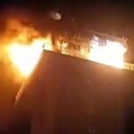 تجريم إطعام الكلاب والقطط وتربيتها وراء احتجاج نشطاء امام البرلمان