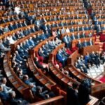 مكافئة مالية ملكية لمدرب منتخب الأسود لأقل من 20 سنة