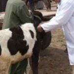 رجل امن ينهي حياة سيدة بسلاحه الوظيفي و يحاول الانتحار بالدارالبيضاء