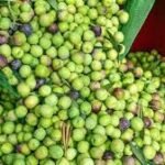 تعليمات ملكية لافتتاح المركز الاستشفائي الجامعي محمد السادس بأكادير