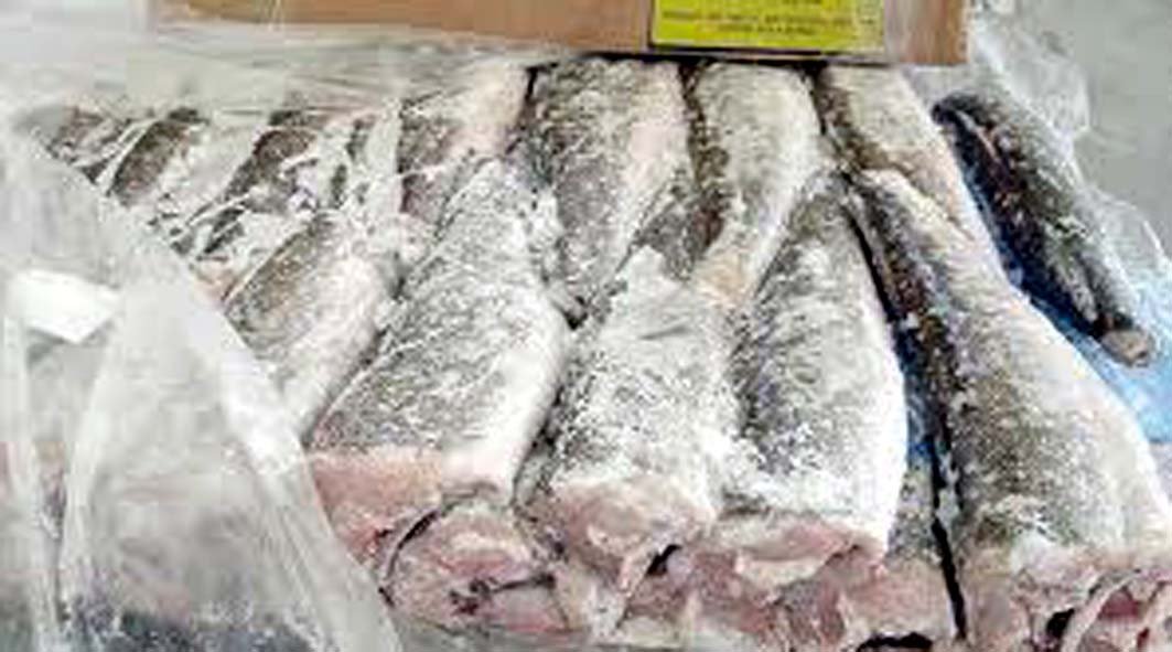 امن ميناء الداخلة يحجز حوالي طن من الاسماك يعتقل صاحبها