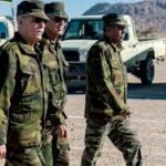 شحنة زيتون قادمة من المغرب ممنوعة من الدخول الى فرنسا