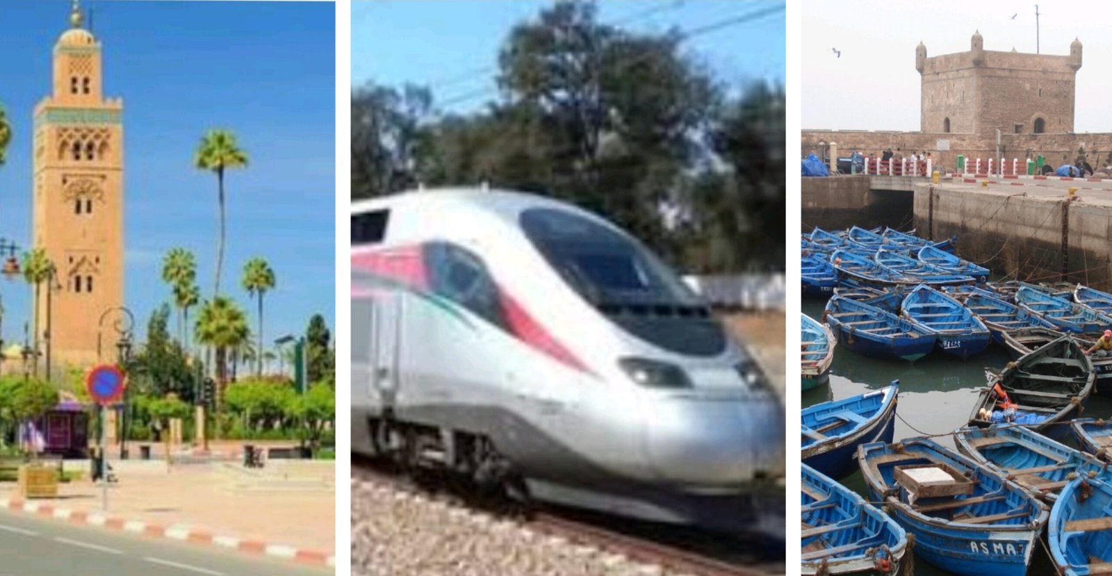 قيوح يكشف جديد مشروع ربط مراكش و الصويرة بالقطار السريع