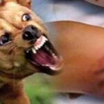 توجيهات عاجلة للولاة والعمال لشن الحرب على الوشاية الكاذبة