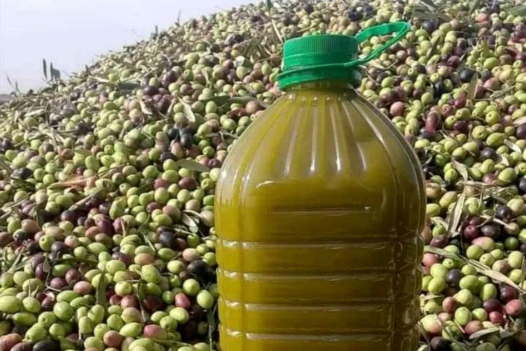 مكتب ONSA يحمي زيت الزيتون المغربية من الشائعات