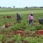 الحموشي يعين امشيشو والياً على أمن مراكش، خلفاً للوالي السابق سعيد العلوة