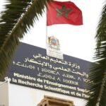 انخفاظ في أسعار زيت الزيتون و الشناقة يهددون استقرار السوق