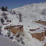 مصرع رجل أمن بوجدة بعد تعرضه لهجوم الكلاب الضالة