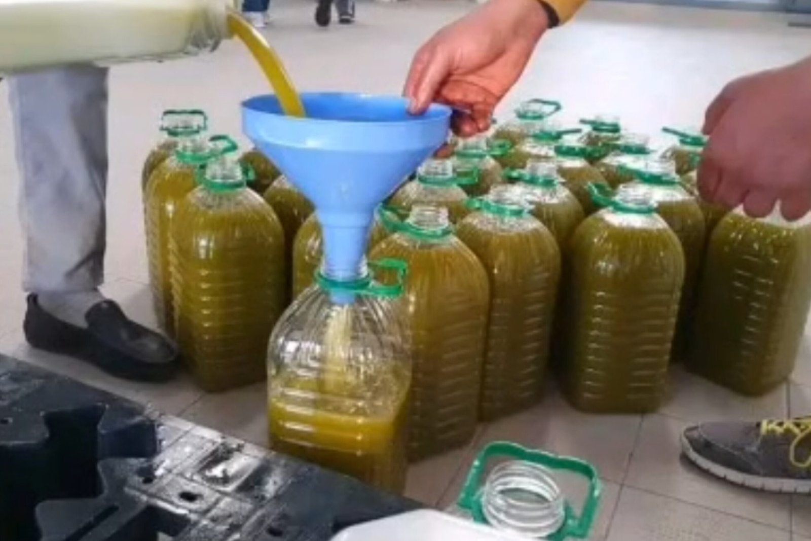 بعد الغلاء أسعار زيت الزيتون تهوى إلى ادنى الاسعار